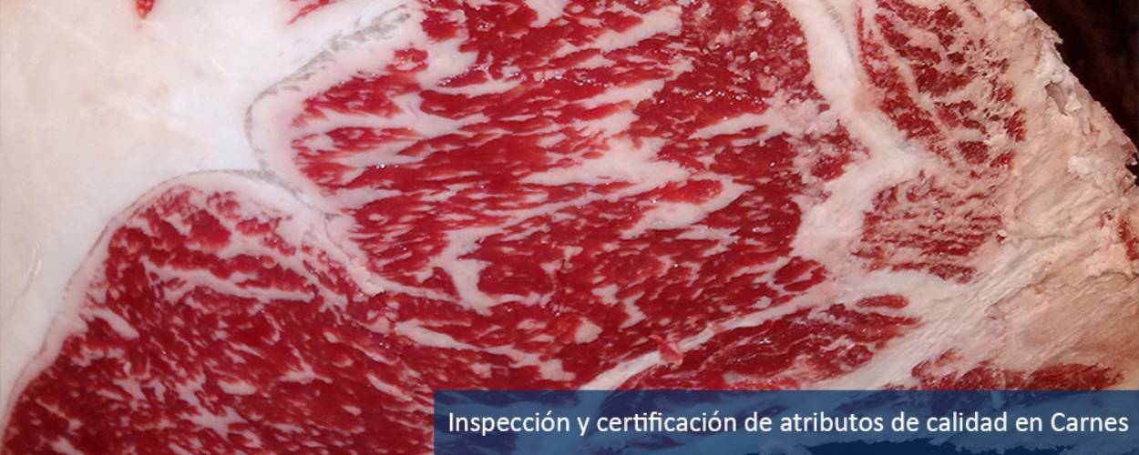 Inspección y certificación de carnes Inspección y certificación de carnes