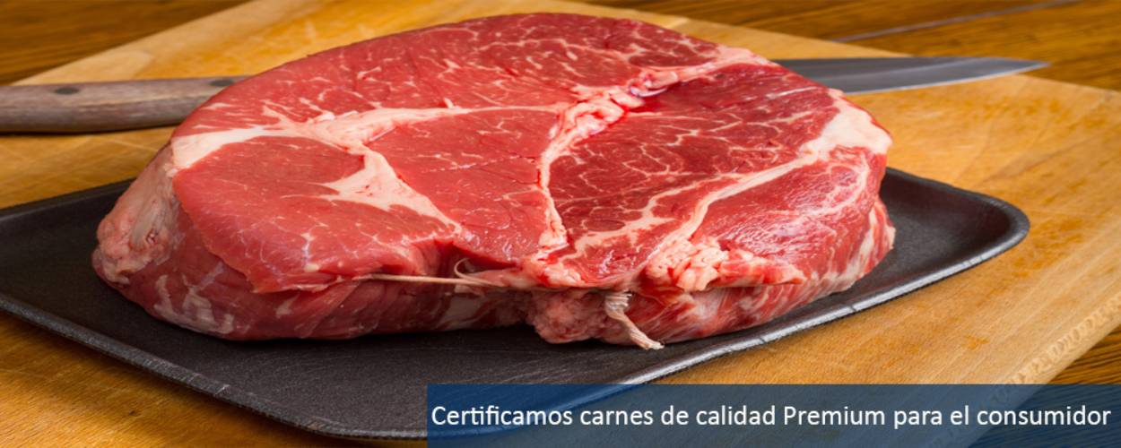 Certificación de calidad cárnica Certificación de calidad cárnica