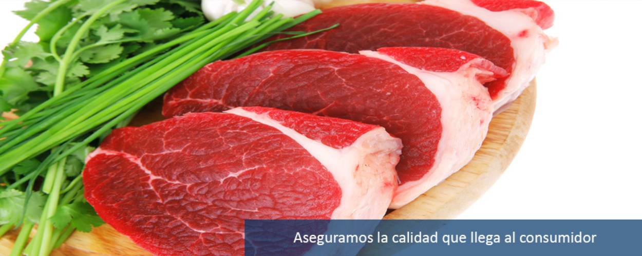 Controles de calidad en las industrias de alimentos Controles de calidad en las industrias de alimentos