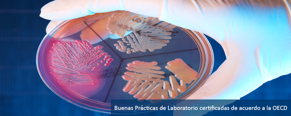 Certilab Laboratorio Certilab Laboratorio